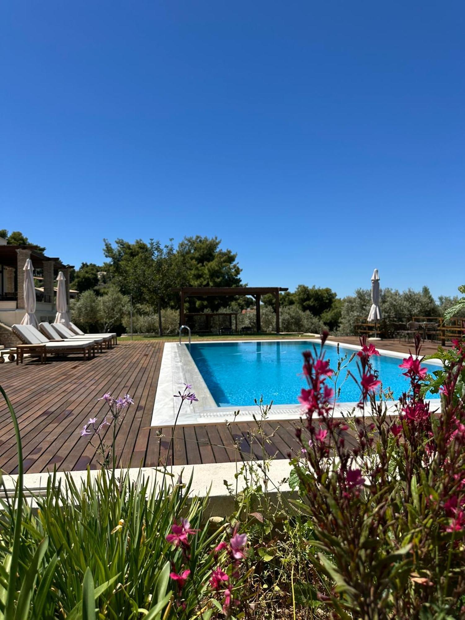 Villa Kalamos / Sea View And Pool Nearby Athens Exterior photo